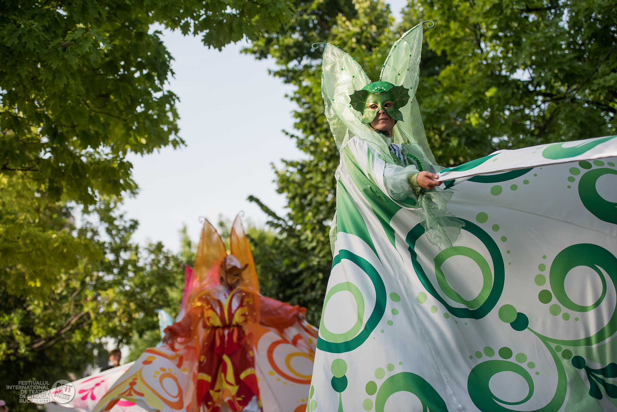 FARFALLE IN DANZA