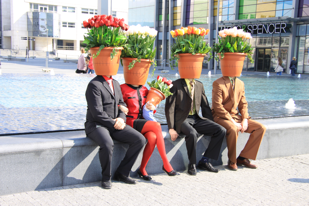 FLOWER POTS